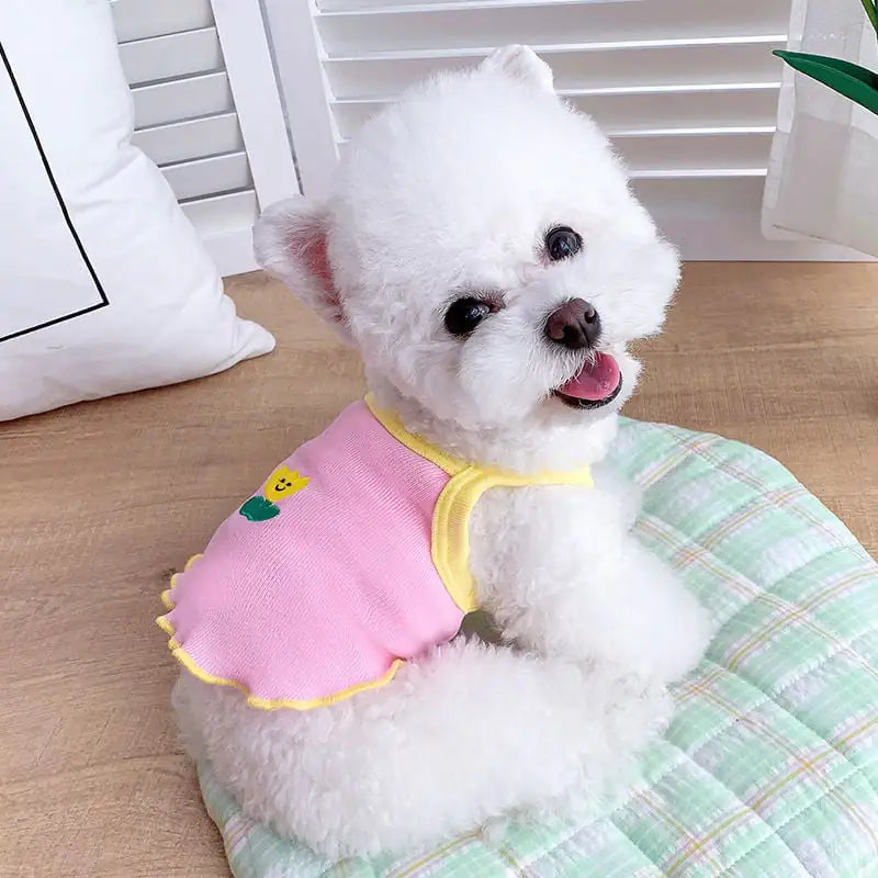 Camisola para Perros