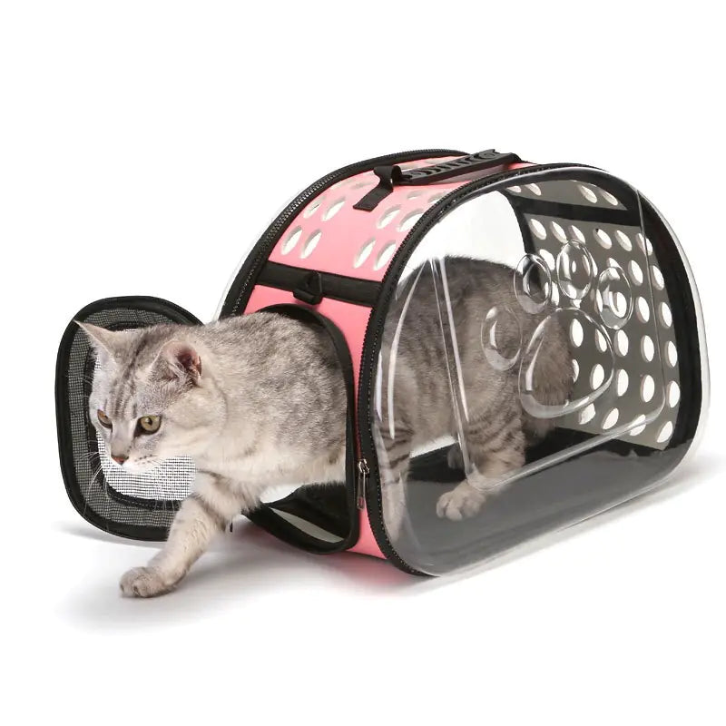 Maleta Transparente para Gatos y Perros