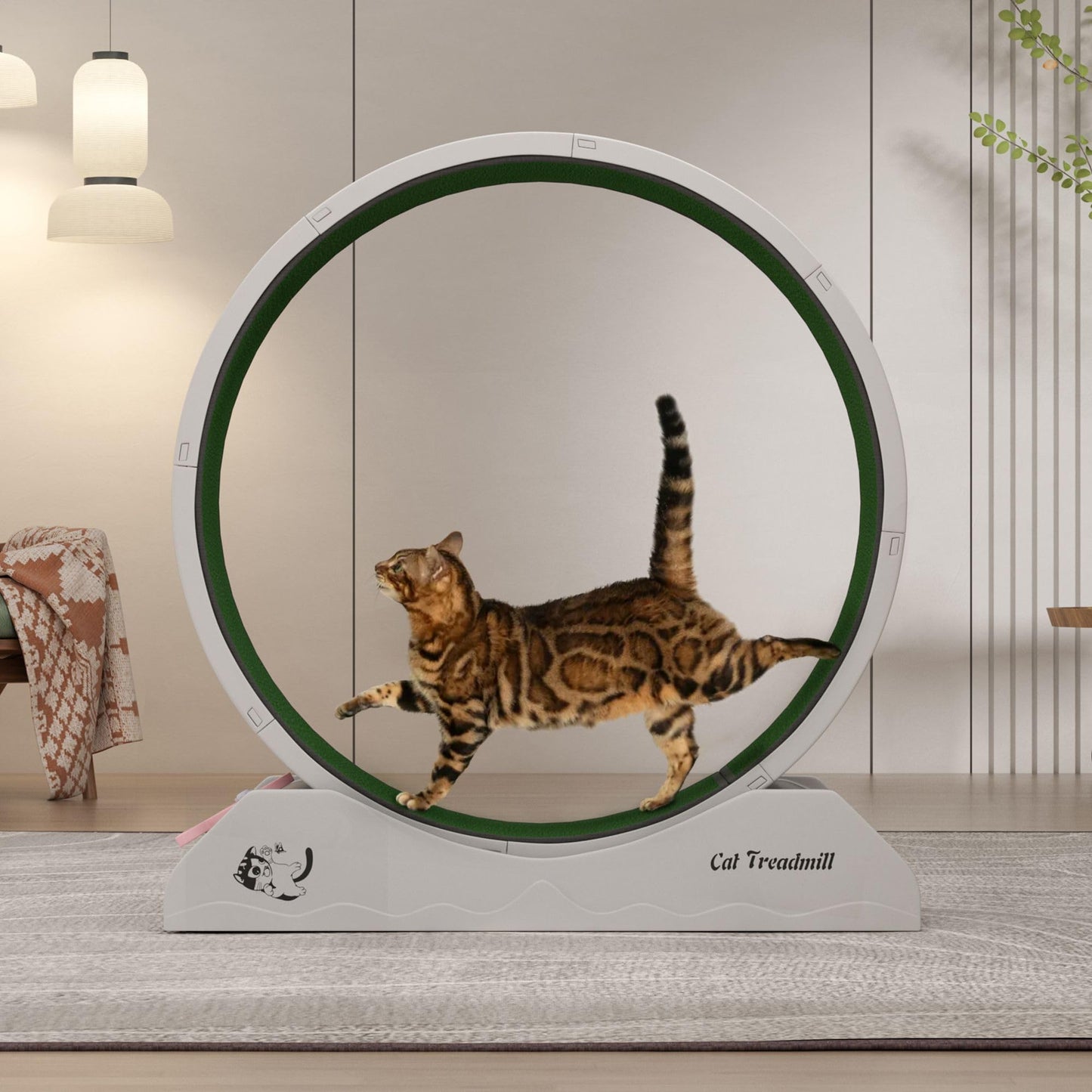 DAUSOLA – Rueda de Ejercicio para Gatos de Interior (31.5”)
