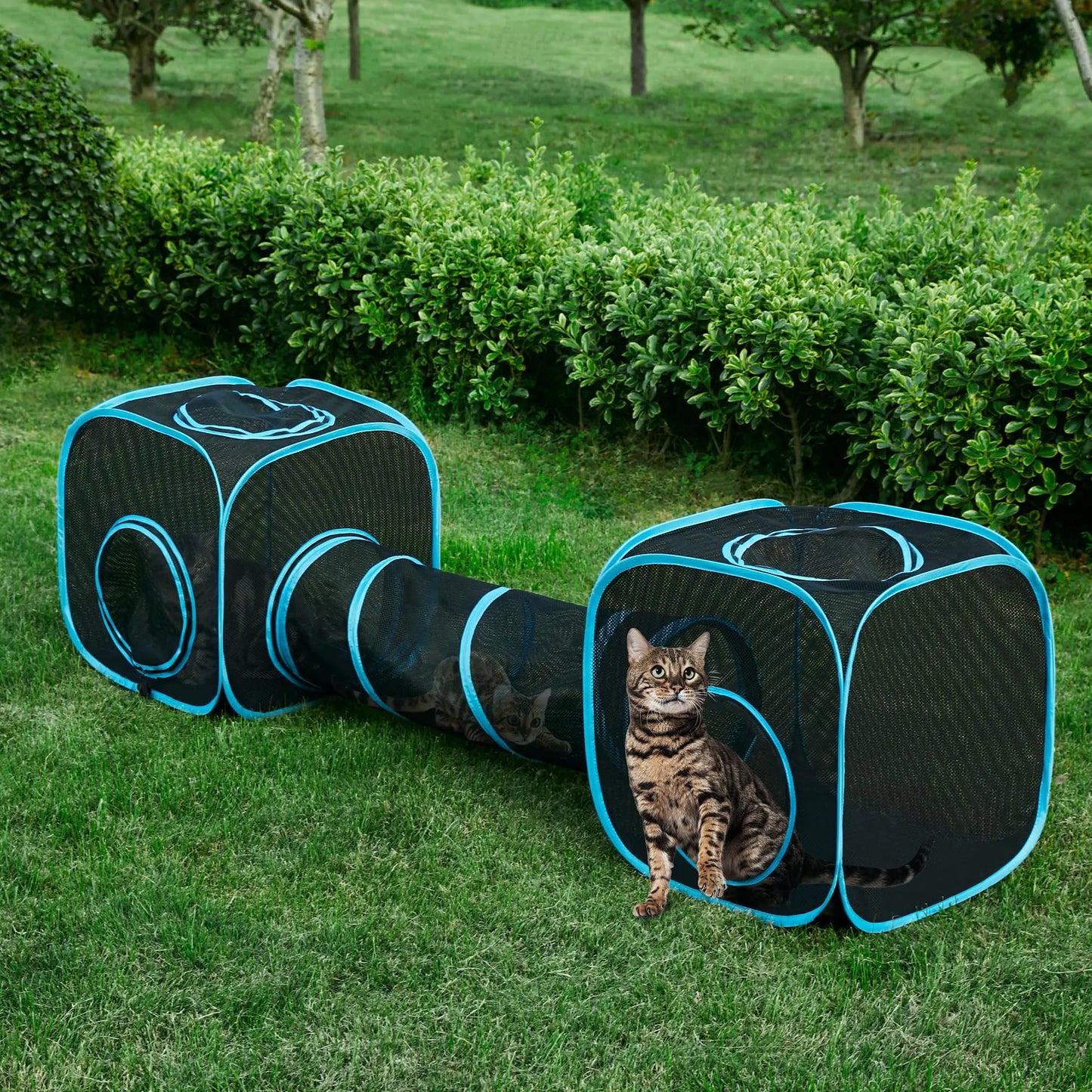 Recinto Portátil para Gatos