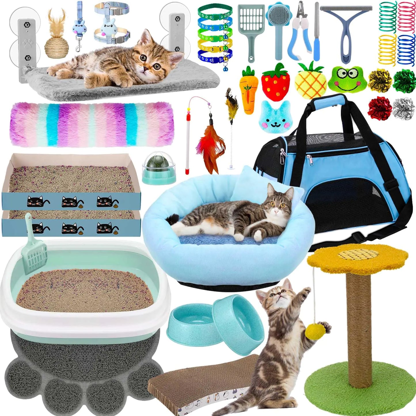 Set Completo de 40 Piezas para Gatos
