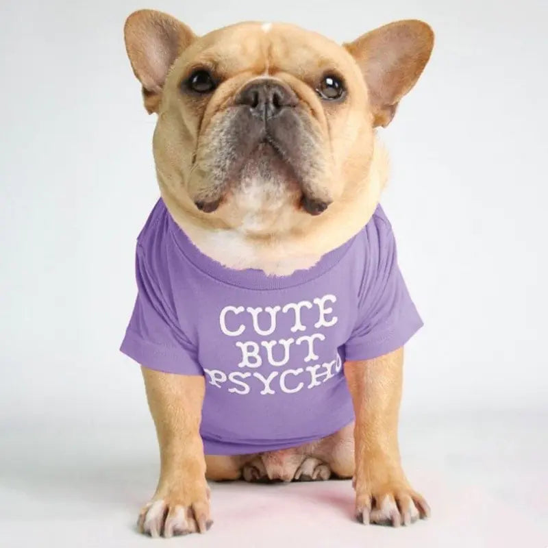 Camiseta de cuello alto y redondo para mascotas