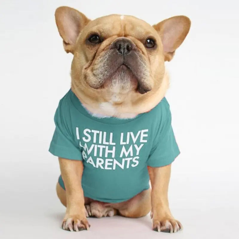 Camiseta de cuello alto y redondo para mascotas