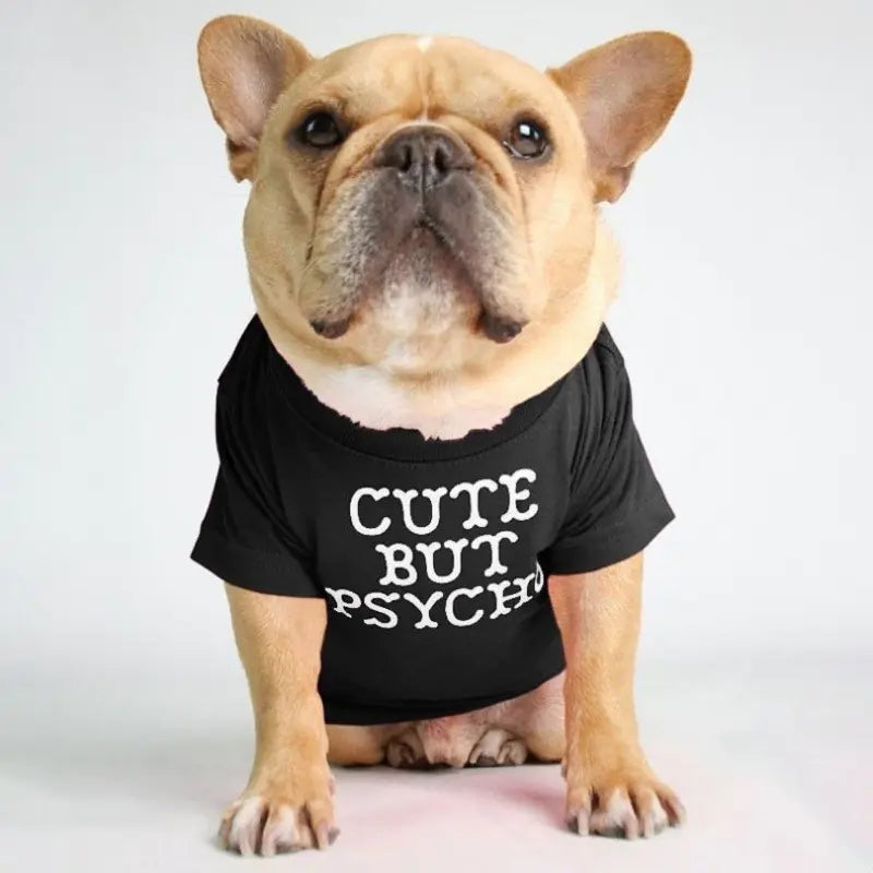 Camiseta de cuello alto y redondo para mascotas