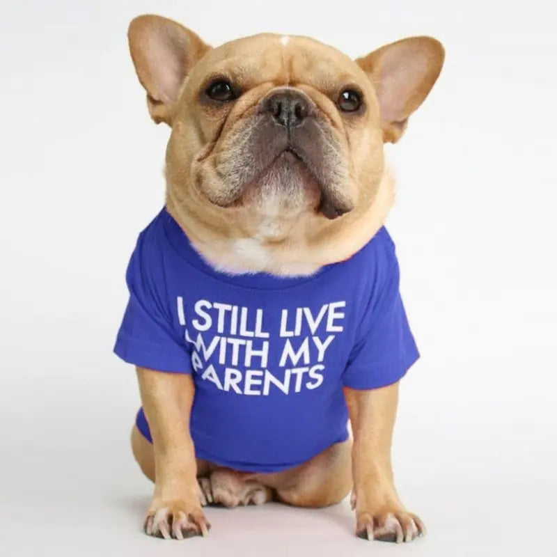 Camiseta de cuello alto y redondo para mascotas