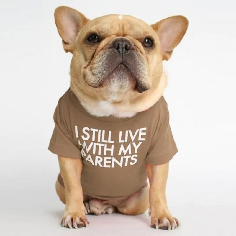 Camiseta de cuello alto y redondo para mascotas
