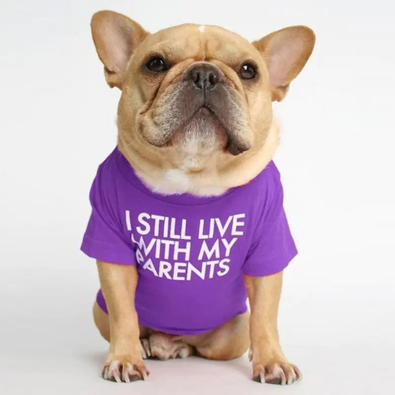 Camiseta de cuello alto y redondo para mascotas