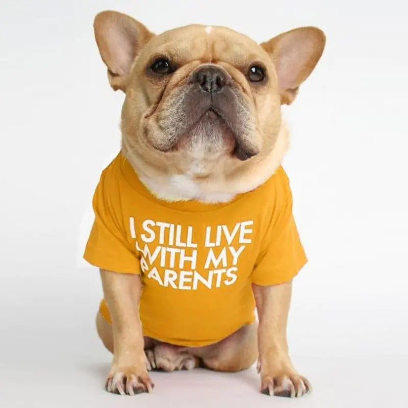 Camiseta de cuello alto y redondo para mascotas