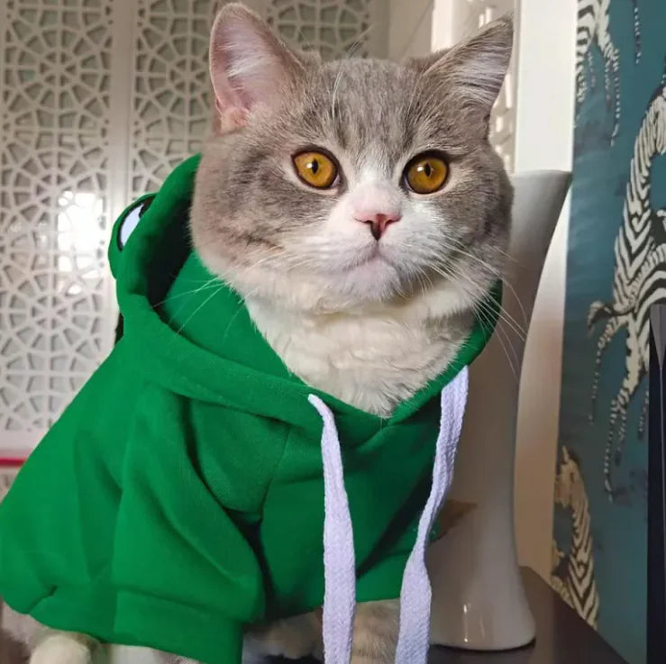 Suéter para Mascotas