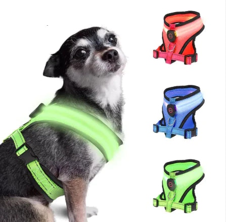 Arnés LED para Mascotas