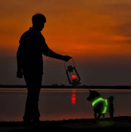 Arnés LED para Mascotas