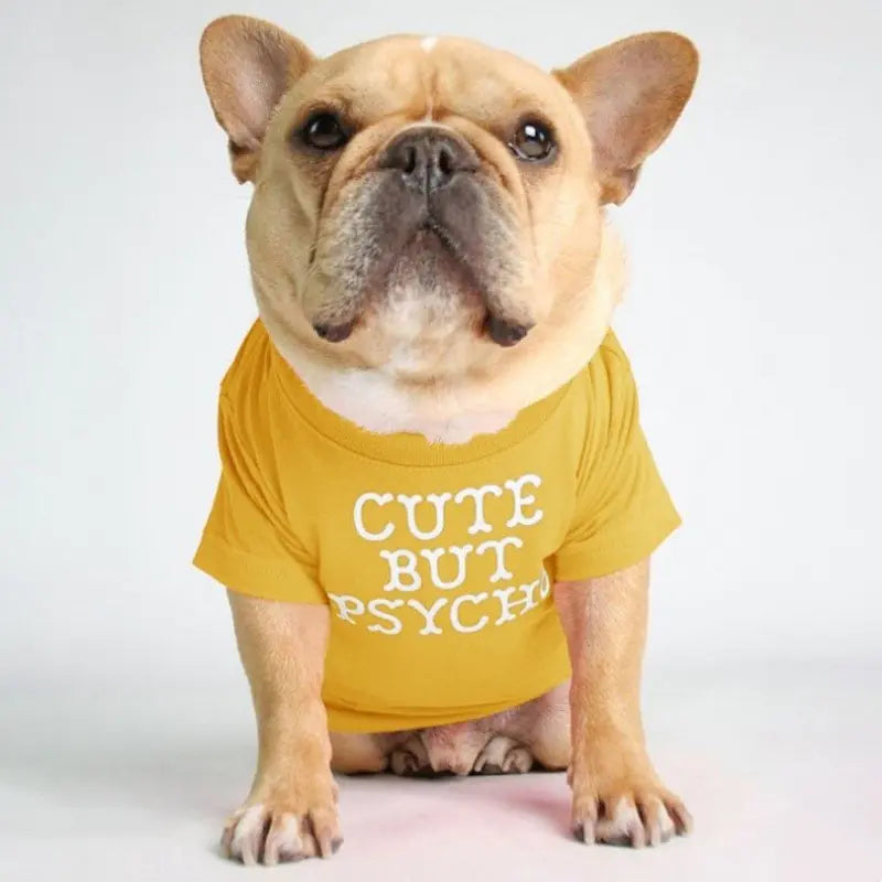 Camiseta de cuello alto y redondo para mascotas