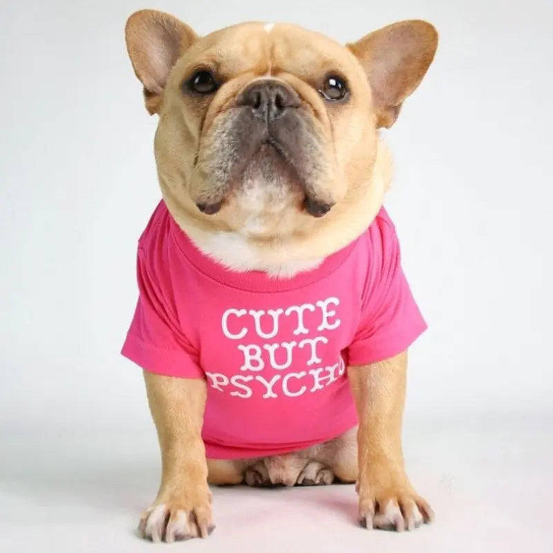 Camiseta de cuello alto y redondo para mascotas
