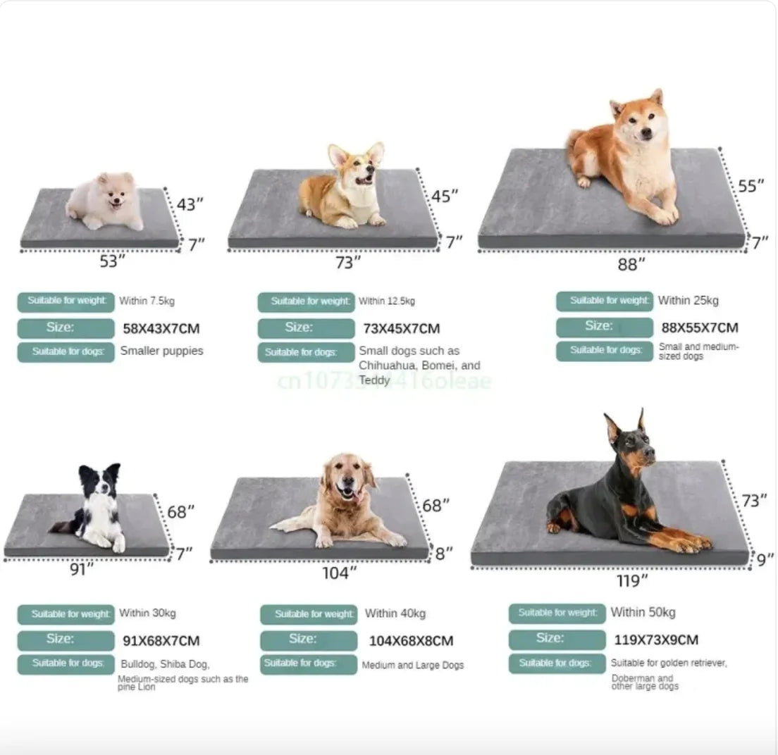 Cama Impermeable para Perro