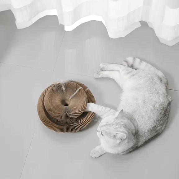 Rascador Acordeón para Gatos