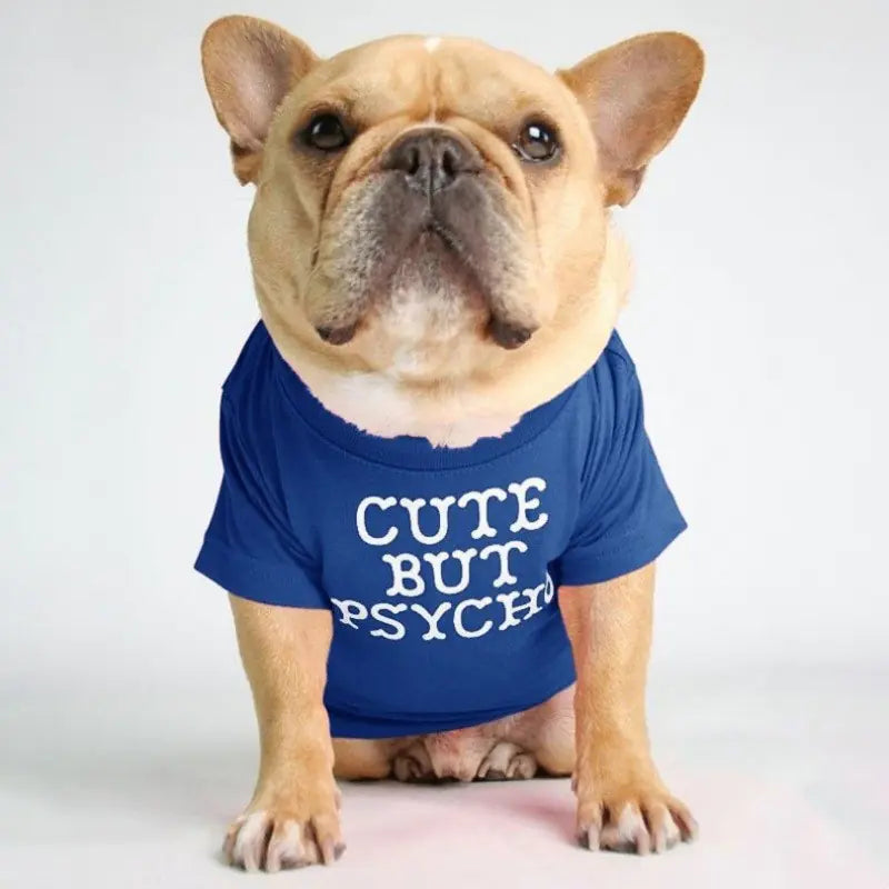 Camiseta de cuello alto y redondo para mascotas
