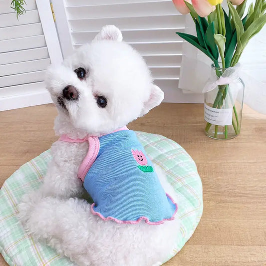 Camisola para Perros