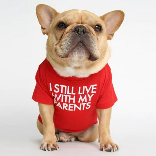Camiseta de cuello alto y redondo para mascotas