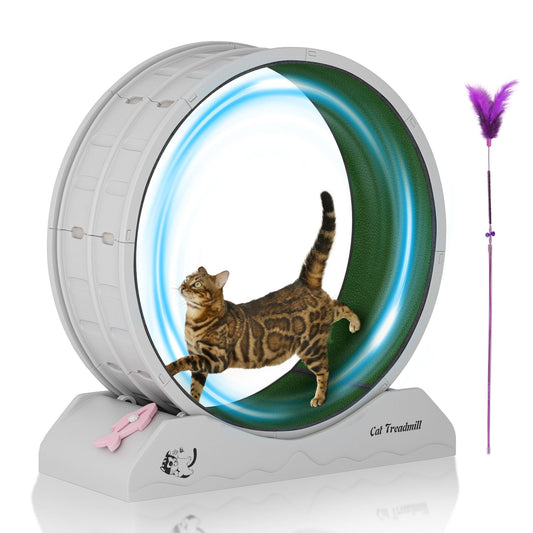 DAUSOLA – Rueda de Ejercicio para Gatos de Interior (31.5”)