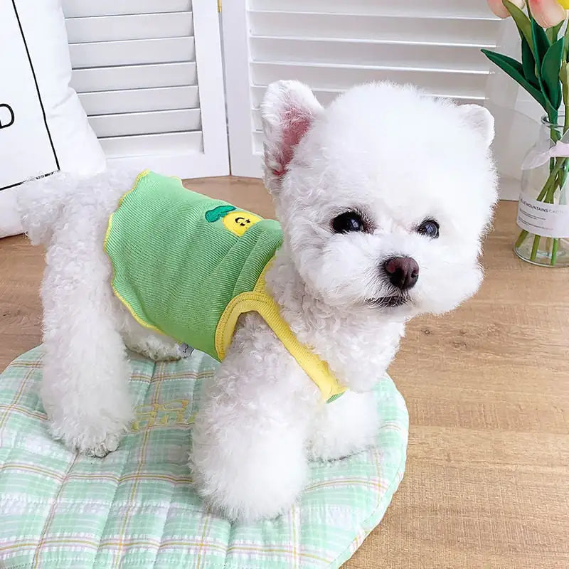 Camisola para Perros