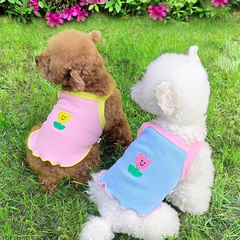 Camisola para Perros